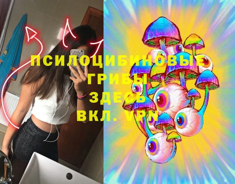 Галлюциногенные грибы Magic Shrooms  Вологда 